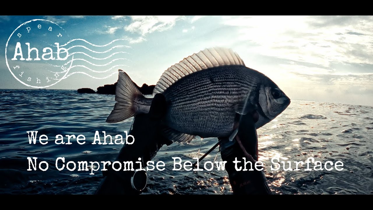 We are Ahab
